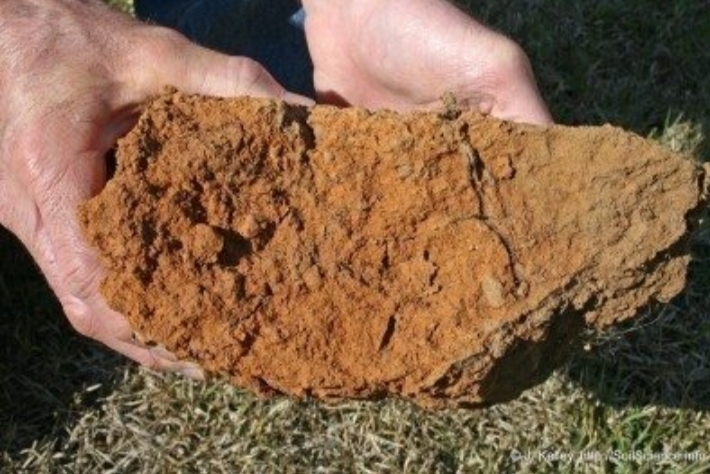 Does your soil look like this?