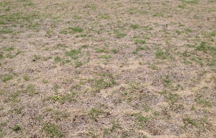 It all begins with the soil…
